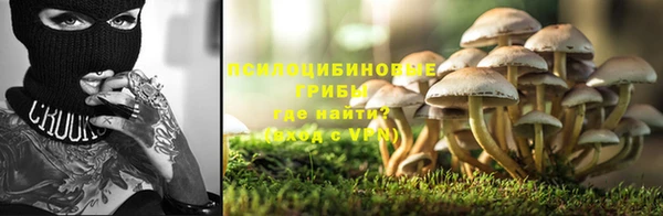 трава Краснотурьинск