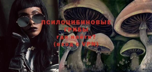 apvp Билибино