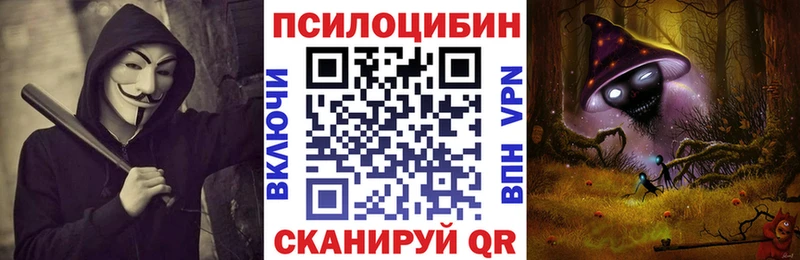 Псилоцибиновые грибы Psilocybe  купить  сайты  Кириллов 